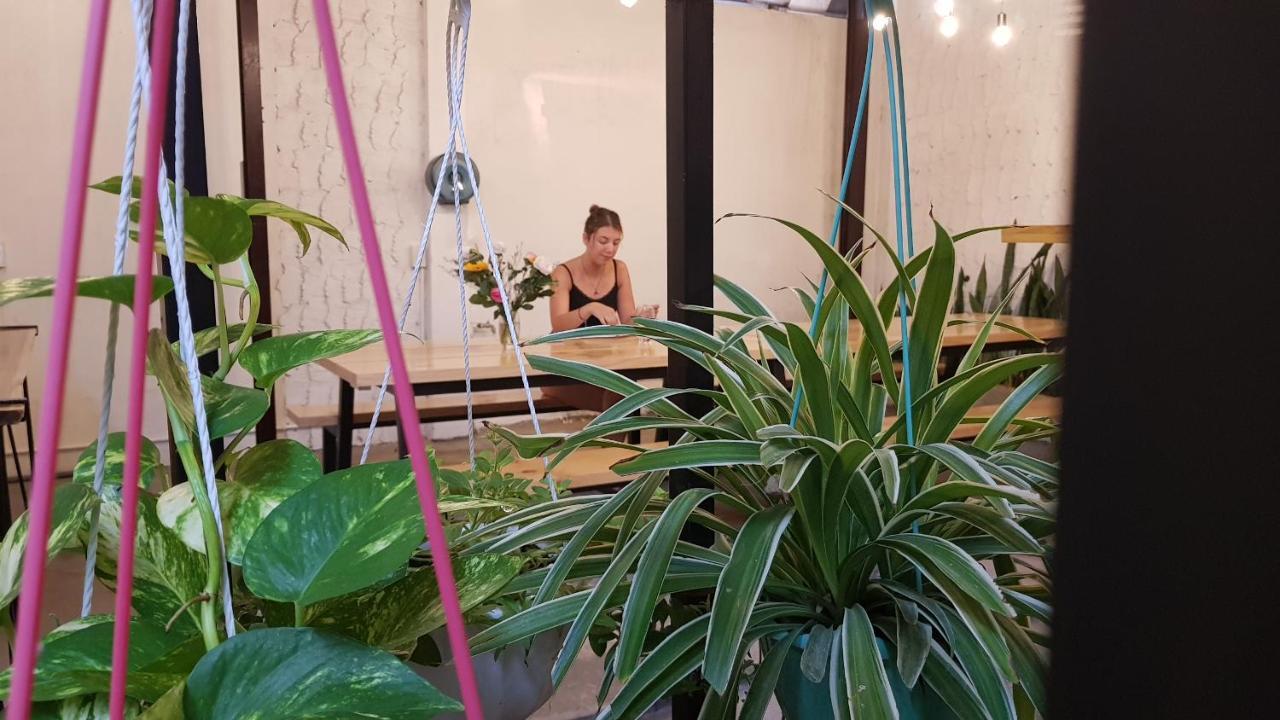 White House Hostel Nha Trang Dış mekan fotoğraf